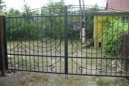 Ворота прозрачные 9