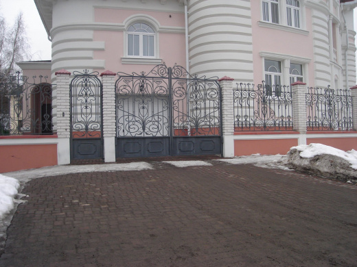 Ворота прозрачные с калиткой 2